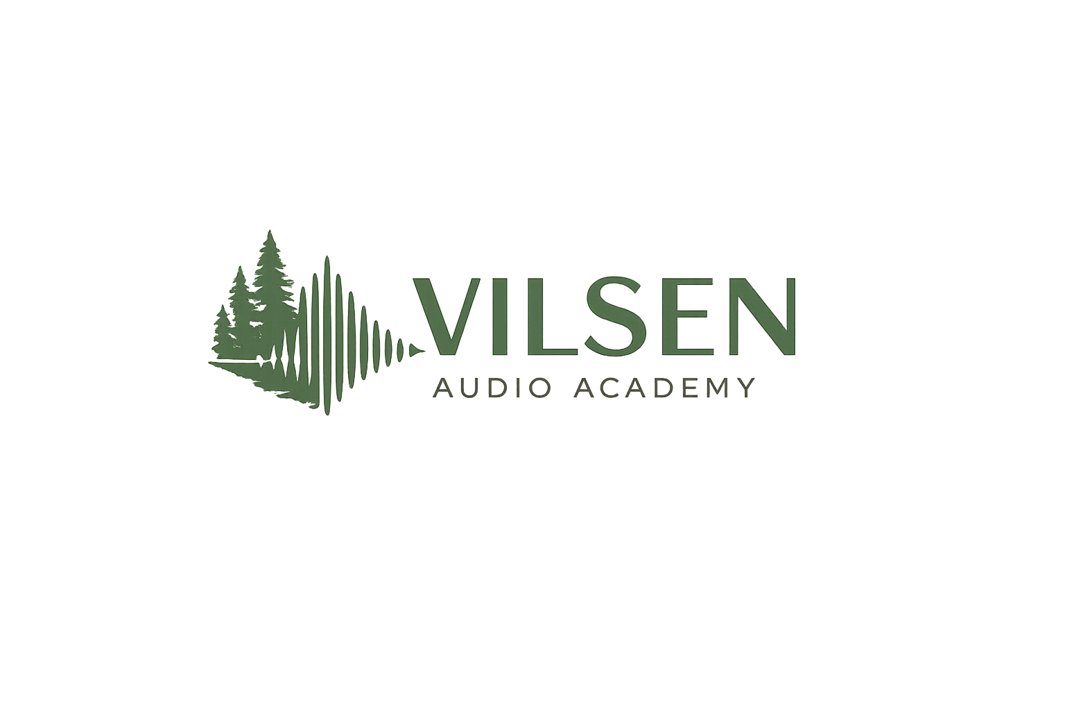 Vilsen Audio Academy